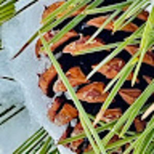 Meet your Posher, Magy